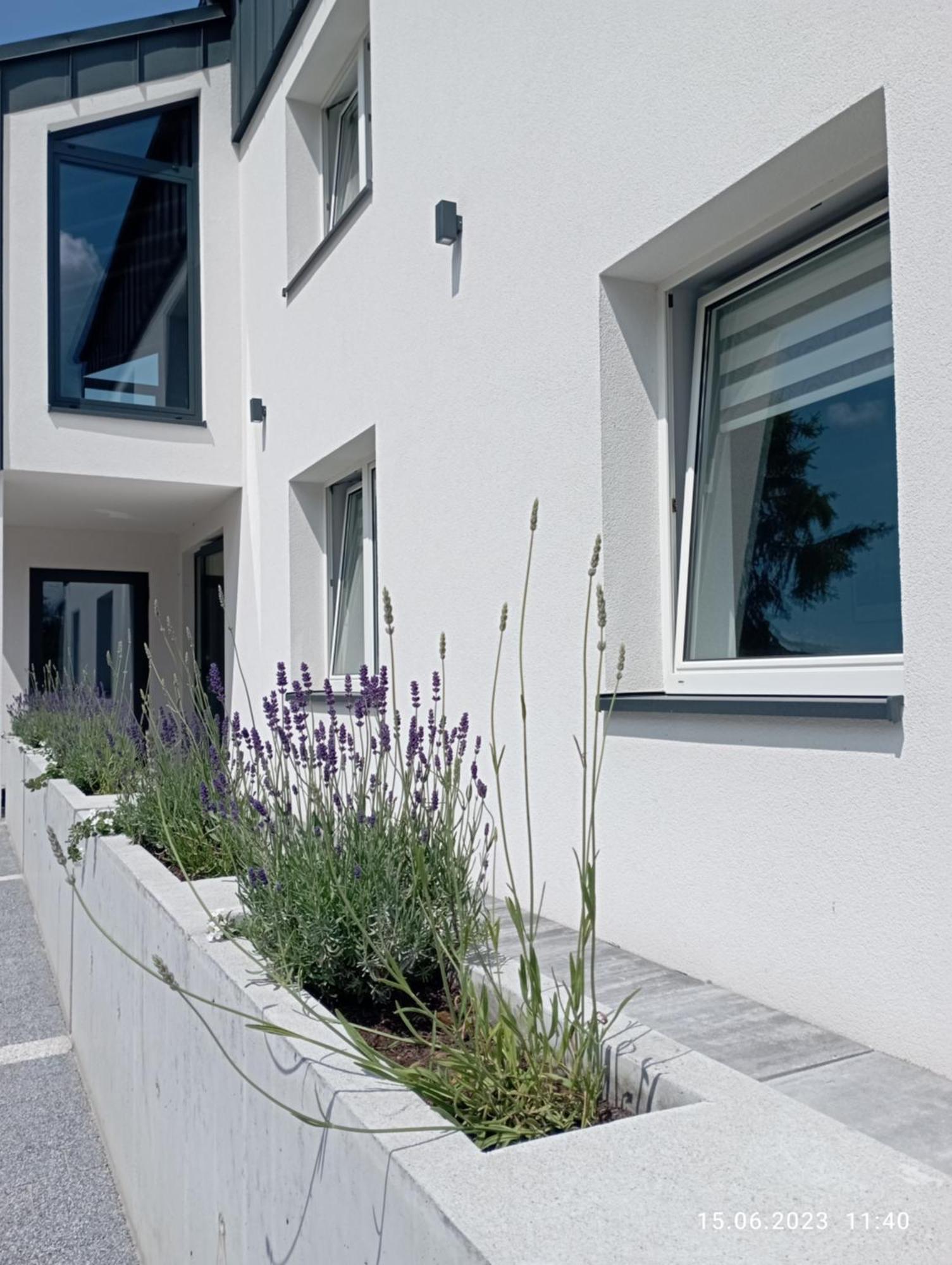 Studio 102 Bachowice Exteriér fotografie